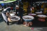 Pedagang memindahkan ikan dagangannya saat banjir rob di Tempat Pelelangan Ikan (TPI) Cituis, Kabupaten Tangerang, Banten, Jumat (5/12/2025). Badan Meteorologi Klimatologi dan Geofisika  (BMKG) memprediksi potensi banjir rob pada sejumlah wilayah pesisir di Provinsi Banten akibat fenomena supermoon dan bulan purnama pada awal dan akhir Desember 2025 yang meningkatkan ketinggian air laut. ANTARA FOTO/Putra M. Akbar/gp
