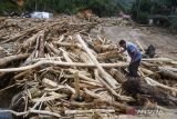 Kemenhut pastikan kayu di Lampung bukan hanyut akibat bencana Sumatera