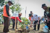 Pemkab Boyolali lakukan penanaman pohon serentak pada peringatan HMPI