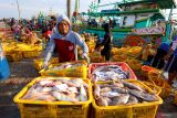 Sejumlah pekerja memindahkan ikan dari kapal menuju tempat pelelangan ikan di TPI Palang, Tuban, Jawa Timur, Rabu (10/12/2025). Pemda dan Penyelenggara Jaminan Sosial Ketenagakerjaan setempat menyepakati memberikan perlindungan lewat program jaminan sosial ketenagakerjaan kepada ribuan nelayan di kawasan itu guna mengurangi resiko kecelakaan kerja di laut. Antara Jatim/Muhammad Mada/um