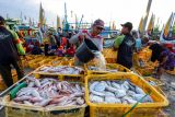 Sejumlah pekerja memindahkan ikan dari kapal menuju tempat pelelangan ikan di TPI Palang, Tuban, Jawa Timur, Rabu (10/12/2025). Pemda dan Penyelenggara Jaminan Sosial Ketenagakerjaan setempat menyepakati memberikan perlindungan lewat program jaminan sosial ketenagakerjaan kepada ribuan nelayan di kawasan itu guna mengurangi resiko kecelakaan kerja di laut. Antara Jatim/Muhammad Mada/um