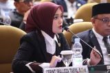 Cerint Irraloza Tasya minta pemerintah batalkan pemangkasan TKD untuk Sumbar, Sumut dan Aceh