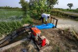 Petugas memeriksa pompa penyedot air di sekitar persawahan terendam banjir di Kedungpring, Lamongan, Jawa Timur, Kamis (11/12/2025). Balai Besar Wilayah Sungai (BBWS) Bengawan Solo dan petani setempat bergotong royong mengendalikan banjir yang merendam ribuan lahan pertanian di wilayah itu dengan cara melakukan penyedotan air dan membersihkan saluran irigasi. Antara Jatim/Muhammad Mada/um 