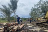 Kemenhut perketat pengawasan peredaran kayu di wilayah banjir Sumatera