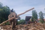 Pemerintah ingatkan kayu bekas banjir bandang tak boleh keluar dari Aceh