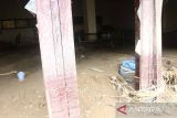 Lelah tunggu bantuan pemerintah, Pesantren di Pidie Jaya keruk lumpur banjir dengan biaya sendiri