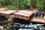 KLH bongkar peredaran kayu olahan ilegal, 300 meter kubik disita di Riau
