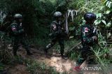 Personel Satgas Pamtas RI-Malaysia Yonarhanud 1/PBC/1 Kostrad patroli di hutan perbatasan Indonesia-Malaysia di Entikong, Kabupaten Sanggau, Kalimantan Barat, Selasa (25/11/2025). Patroli tersebut dilaksanakan untuk mencegah penyelundupan narkotika dan barang ilegal, menahan masuknya pendatang tanpa dokumen, serta menjaga stabilitas keamanan wilayah sebagai bagian dari tugas Satgas Pamtas Yonarhanud 1/PBC/1 Kostrad dalam mengamankan jalur perbatasan dan memperkuat keamanan kawasan. ANTARA FOTO/Jessica Wuysang