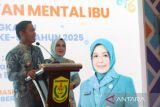 Banjarmasin bentuk kesehatan mental ibu bangun fondasi kota sehat