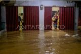 Antisipasi wabah, Kemenkes terbitkan SE siaga Leptospirosis