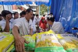 Pemkab Kudus pastikan stok beras masyarakat cukup bahkan surplus