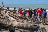 Semen Padang rurun tangan bersihkan kayu di Pantai Parupuk, Wamenhut: target 3 hari bersih