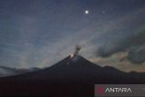 Gunung Semeru erupsi disertai suara gemuruh lemah