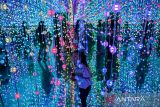 Pengunjung bermain dalam wahana Wonderlab di Paris Van Java (PVJ) Mall, Bandung, Jawa Barat, Jumat (26/12/2025). Wahana wonderlab menyuguhkan wahana museum cahaya immersive dengan beberapa ruangan instalasi konsep visual yang berbeda-beda untuk memeriahkan libur Natal 2025 dan Tahun Baru 2026. ANTARA FOTO/Raisan Al Farisi/agr