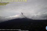 Semeru kembali erupsi dengan tinggi letusan 900 meter di atas puncak