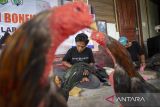Peserta membuat kerajinan boneka ayam saat mengikuti pelatihan di desa Larangan, Indramayu, Jawa Barat, Senin (29/12/2025). Pelatihan yang digelar Pemerintah Desa setempat itu diikuti sejumlah pemuda untuk memberikan keterampilan dan mengurangi angka pengangguran. ANTARA FOTO/Dedhez Anggara/agr