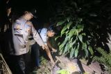 Polisi selidiki pelaku pembuangan bayi dalam lubang bekas septic tank