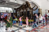 Wisatawan mengamati replika susunan tulang hewan purba di ruang pamer Museum Geologi, Bandung, Jawa Barat, Selasa (30/12/2025). Pengelola Museum Geologi mencatat tingkat kunjungan wisatawan ke museum itu pada libur Natal 2025 rata-rata mencapai 3.000 wisatawan per hari, meningkat dibandingkan sebelum masa liburan yang sebanyak 2.500 per hari. ANTARA FOTO/Raisan Al Farisi/agr
