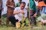 Gubernur Iqbal: Kerusakan hutan lahir kantong kemiskinan ekstrem baru