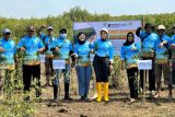 KEHATI dan BTN tanam 7.500 mangrovedi tiga wilayah pesisir Indonesia