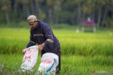 Menumbuhkan harapan petani lewat penurunan HET pupuk bersubsidi