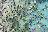 Foto udara pengunjung memadati wahana permainan air Tee Jay di Kota Tasikmalaya, Jawa Barat, Kamis (1/1/2026). Dinas Pariwisata dan Budaya Provinsi Jawa Barat mencatat 21,5 juta warga memanfaatkan libur Natal 2025 dan Tahun Baru 2026 dengan berkunjung ke berbagai destinasi wisata di Jawa Barat. ANTARA FOTO/Adeng Bustomi/agr