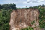 Tebing Ngarai Sianok di Agam longsor, terdampak bencana  hidrometeorologi