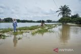 Warga berjalan di trotoar untuk menghindari jalan yang terendam banjir di Situ Bulakan, Periuk, Kota Tangerang, Banten, Minggu (4/1/2026). Banjir setinggi 20-50 sentimeter akibat luapan air dari Situ Bulakan yang dipicu tingginya intensitas hujan dalam beberapa hari terakhir tersebut membuat akses jalan yang menghubungkan Periuk dan Kotabumi tidak bisa dilalui kendaraan roda dua. ANTARA FOTO/Putra M. Akbar/gp