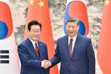 Presiden China dan Korsel tegaskan stabilitas hubungan bilateral