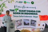 Duta Besar Republik Rakyat Tiongkok (RRT) untuk Indonesia Wang Lutong menyampaikan sambutan saat pengumuman kelahiran anak Giant Panda pertama di Indonesia di Istana Panda, TSI, Cisarua, Bogor, Jawa Barat, Selasa (6/1/2026). TSI Bogor mengumumkan kelahiran anak Giant Panda pertama di Indonesia pada 27 November 2025 yang diberi nama Satrio Wiratama atau Rio oleh Presiden Prabowo Subianto dan kelahiran ini adalah pencapaian penting dari program konservasi jangka panjang Indonesia-Tiongkok yang dimulai sejak kedatangan induk Giant Panda Hu Chun dan Cai Tao pada tahun 2017. ANTARA Megapolitan/Arif Firmansyah.