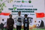 Founder Taman Safari Indonesia (TSI) Jansen Manansang (kiri) berfoto bersama Duta Besar Republik Rakyat Tiongkok (RRT) untuk Indonesia Wang Lutong (tengah) dan Menteri Kehutanan Raja Juli Antoni (kanan) saat pengumuman kelahiran anak Giant Panda pertama di Indonesia di Istana Panda, TSI, Cisarua, Bogor, Jawa Barat, Selasa (6/1/2026). TSI Bogor mengumumkan kelahiran anak Giant Panda pertama di Indonesia pada 27 November 2025 yang diberi nama Satrio Wiratama atau Rio oleh Presiden Prabowo Subianto dan kelahiran ini adalah pencapaian penting dari program konservasi jangka panjang Indonesia-Tiongkok yang dimulai sejak kedatangan induk Giant Panda Hu Chun dan Cai Tao pada tahun 2017. ANTARA Megapolitan/Arif Firmansyah.