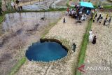 BPBD: Pergerakan tanah terus terjadi di area sinkhole Limapuluh Kota