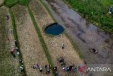 IAGI butuh tim geolistrik untuk kaji fenomena sinkhole Limapuluh Kota