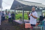Program pro petani di NTB dinilai Gubernur Iqbal berhasil