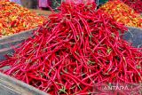Harga cabai rawit merah Rp53.900/kg, telur ayam Rp32.750/kg