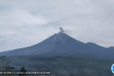 Gunung Semeru Jatim erupsi material letusan setinggi 700 meter