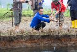 Kementerian ESDM kaji fenomena sinkhole di Kabupaten Limapuluh Kota