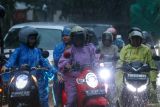 Sejumlah pengendara berhenti di lampu merah saat hujan deras di Banyuwangi, Jawa Timur, Kamis (8/1/2026). Badan Meteorologi, Klimatologi, dan Geofisika (BMKG) Juanda menyatakan sebagian besar wilayah Jawa Timur telah memasuki puncak musim hujan pada Januari 2026 dan menghimbau masyarakat meningkatkan kewaspadaan terhadap potensi cuaca ekstrem yang dapat terjadi sewaktu-waktu terutama pada siang hingga malam hari. ANTARA Jatim/Budi Candra Setya/mas.