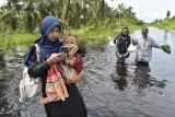 Warga menerobos jalan yang terendam banjir luapan Sungai Dendang di Desa Catur Rahayu, Tanjung Jabung Timur, Jambi, Sabtu (10/1/2026). Akses kendaraan di beberapa titik di desa itu terputus sejak Jumat (9/1) akibat ketinggian air hampir mencapai 1 meter, sementara data BPBD setempat menyebutkan sebanyak 149 kepala keluarga dilaporkan terdampak. ANTARA FOTO/Wahdi Septiawan/rwa.