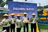 Lapas Jambi sumbang bencana Aceh dari hasil panen program pangan WBP