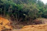 Tersangka perambah hutan di Gowa ajukan penangguhan penahanan karena sakit