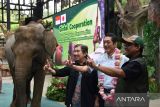 Pendiri Taman Safari Indonesia (TSI) Jansen Manansang (kiri) berfoto bersama Gubernur Prefektur Ehime, Jepang Tokihiro Nakamura (tengah) dan Direktur Konservasi Spesies dan Genetik Direktorat Jenderal Konservasi Sumber Daya Alam dan Ekosistem (KSDAE) Kementerian Kehutanan Ahmad Munawir (kanan) saat kerjasama internasional program Cooperative Breeding untuk konservasi orangutan di TSI, Cisarua, Bogor, Jawa Barat, Jumat (16/1/2026). TSI memperkuat kerja sama dengan Jepang dalam upaya konservasi satwa orangutan melalui program Cooperative Breeding yang bertujuan meningkatkan satwa orangutan dan mencegah kepunahan serta membina hubungan baik antara Indonesia dan Jepang. ANTARA Megapolitan/Arif Firmansyah.