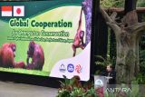 Pendiri Taman Safari Indonesia (TSI) Jansen Manansang menyampaikan sambutan saat kerjasama internasional program Cooperative Breeding untuk konservasi orangutan di TSI, Cisarua, Bogor, Jawa Barat, Jumat (16/1/2026). TSI memperkuat kerjasama dengan Jepang dalam upaya konservasi satwa orangutan melalui program Cooperative Breeding yang bertujuan meningkatkan satwa orangutan dan mencegah kepunahan serta membina hubungan baik antara Indonesia dan Jepang. ANTARA Megapolitan/Arif Firmansyah.