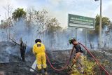 Dua lokasi karhutla berhasil dipadamkan UPTD Damkar Tanjung Uban