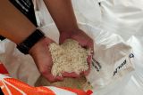 Bulog: Cadangan beras pemerintah di Lampung capai 168 ribu ton