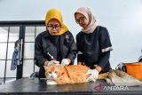Dokter hewan menyuntikkan vaksin pada seekor kucing di Kelurahan Ciumbuleuit, Bandung, Jawa Barat, Selasa (20/1/2026). Pemerintah Kota Bandung menggelar vaksinasi rabies dan pemeriksaan kesehatan hewan penular rabies melalui program Bandung Jaga Kesehatan Hewan (Bangsawan) dengan kuota 50 ekor sebagai upaya meningkatkan kewaspadaan terhadap penularan penyakit dari hewan. ANTARA FOTO/Raisan Al Farisi/agr