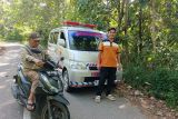 Warga memakai sirine ambulan untuk menghalau kemunculan harimau di Agam