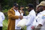 Pemkab Jayawijaya salurkan bantuan sosial beras ke warga lima distrik