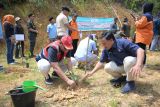 Pulihkan ekologi pascabencana, PT Semen Padang serahkan 10 ribu bibit kaliandra dukung gerakan sejuta pohon