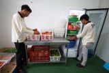 Dua orang pekerja menyiapkan bahan makanan di Satuan Pelayanan Pemenuhan Gizi (SPPG) 2 Pondok Pesantren Al Amien, Kota Kediri, Jawa Timur, Jumat (23/1/2026). Pondok pesantren Al Amien menambah SPPG guna melayani makan bergizi gratis (MBG) untuk 3.200 penerima manfaat setelah sebelumnya meluncurkan SPPG 1 yang diharapkan mampu memberikan asupan gizi berkualitas kepada santri dan pelajar sekaligus pemberdayaan ekonomi lokal. Antara Jatim/Prasetia Fauzani/abs